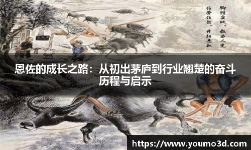 恩佐的成长之路：从初出茅庐到行业翘楚的奋斗历程与启示